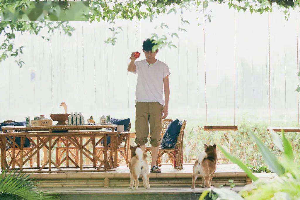 蘑菇屋第一季最新 3f7e16a33cb347c59c8305df252ae931.jpeg