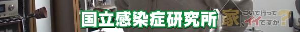 父亲：身后是一个温馨的大家庭~“日本钟南山”一家：父子俩都是感染科医生！正奋战在抗疫一线