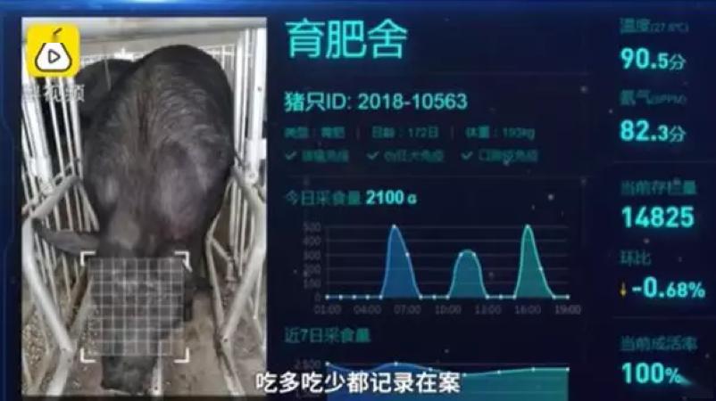 搞房地产不如养猪,万科杀入生猪市场,释放什么信号?
