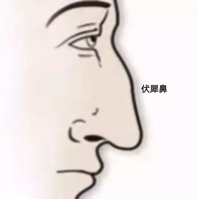 伏犀鼻