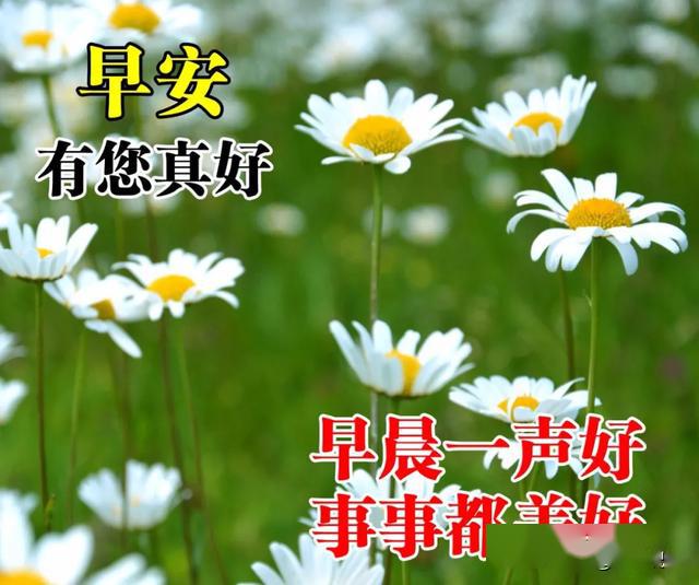 大家早上好的问候语表情图片大全 早上好图片祝福句子