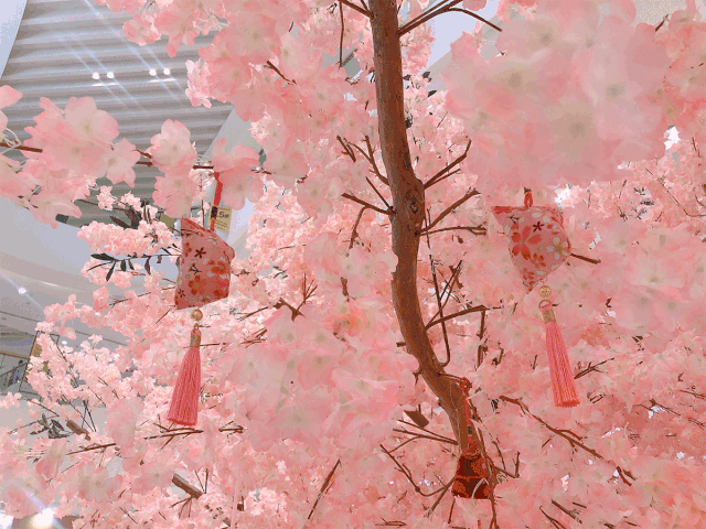 收集8个zan 操作  免费领取银泰定制购物袋一个 数量有限,送完即止!