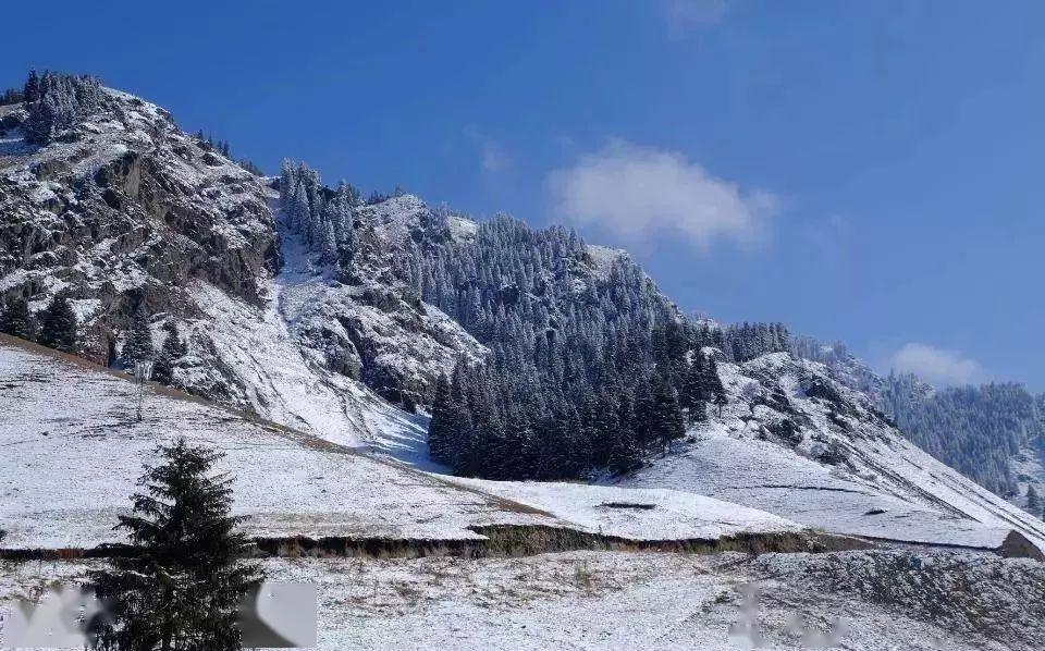 描写冬季天山大峡谷的美景