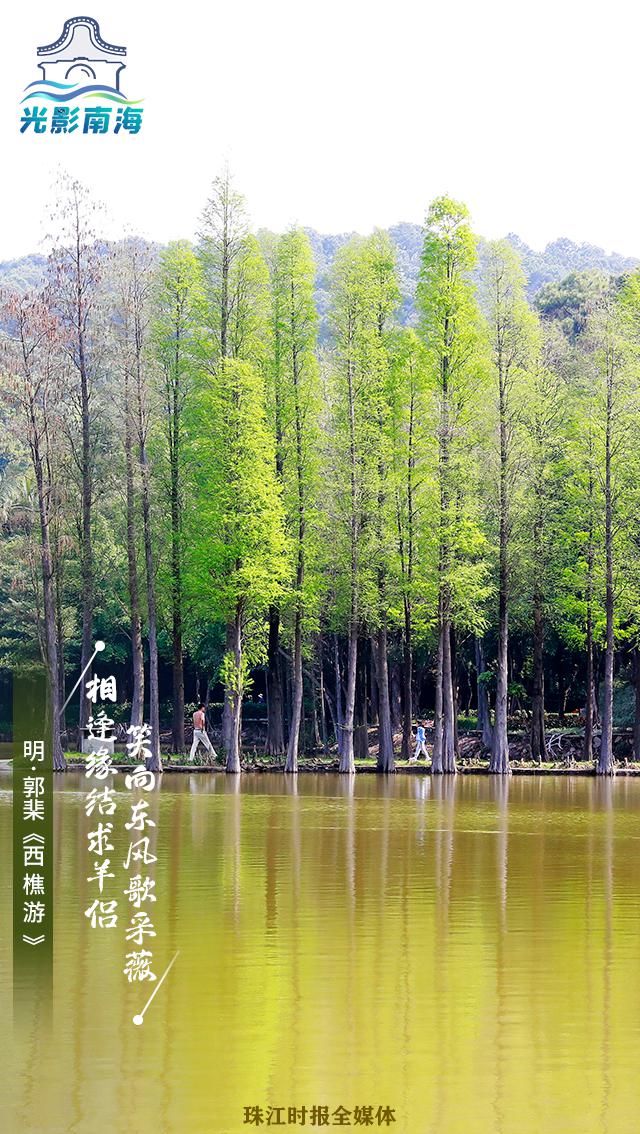 【西樵镇】一首诗 一盛景......跟着古诗游樵山，
