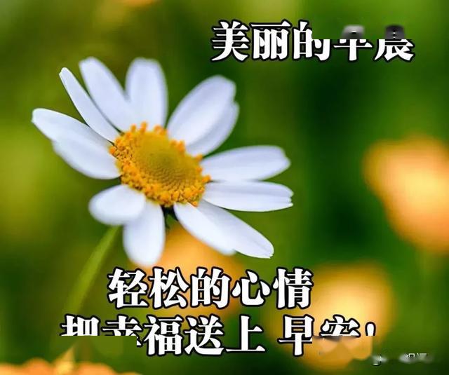 早上好唯美暖心问候语 早安祝福语漂亮图片
