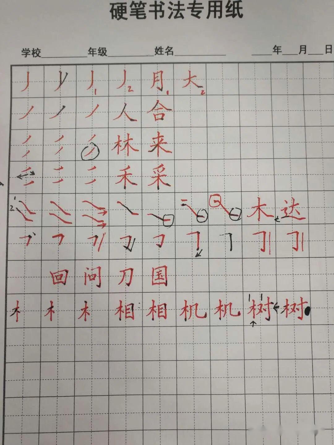 卡农简谱墨韵_卡农简谱(2)