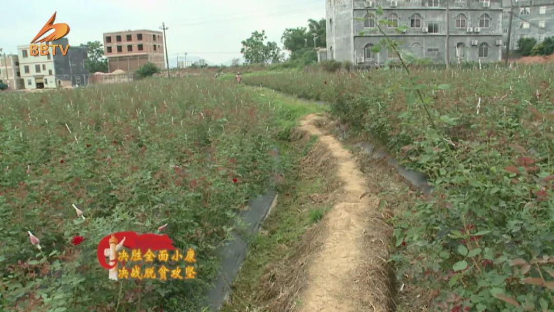 亚山镇各村人口_揭阳揭西大溪各村人口