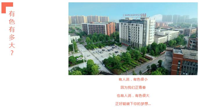 湖南有色金属职业技术学院2020年单招简章