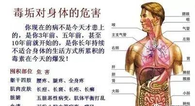 首先我们了解一下人体最大的代谢和解毒的脏器肝脏的功能.