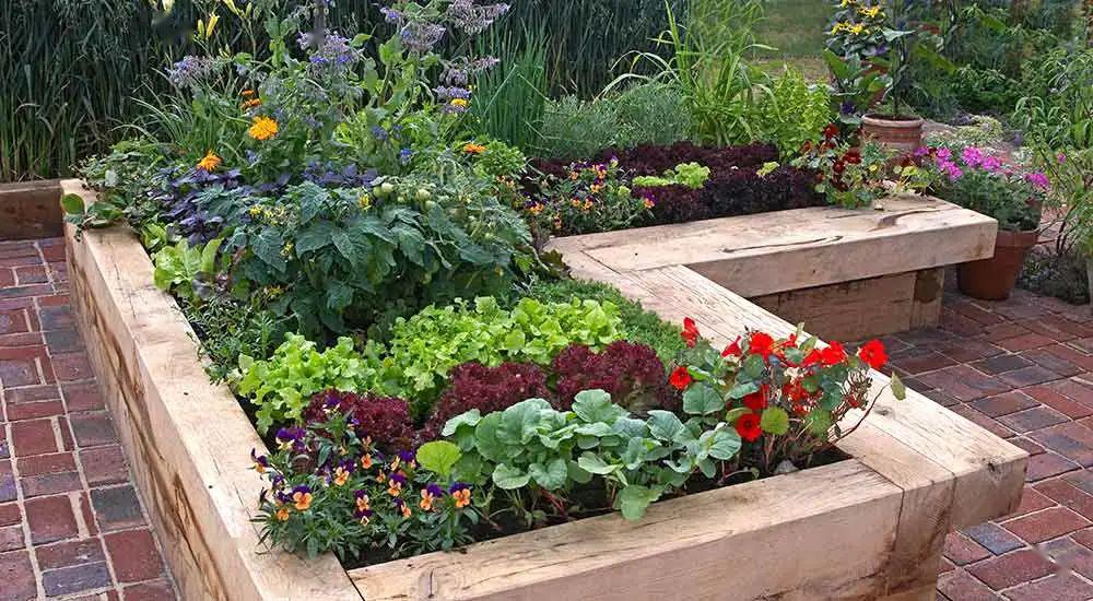 简单易学的花园打造,看了就能学会_庭院