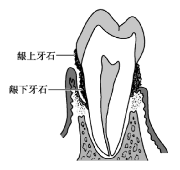 6868b330f60a45f6ba3579aed8d8034f.png