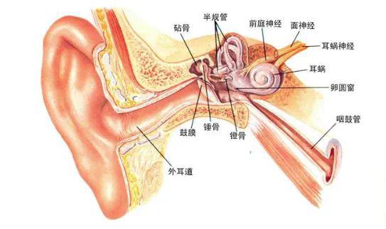 『妈妈』不掏便哭给你看~网友：长大后是采耳的VIP客户宝宝沉醉于被妈妈掏耳朵