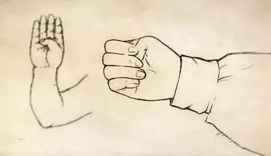 辟加手 来自搜狐网