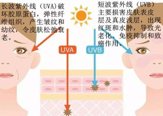 「防晒霜」当心宝宝会变丑！带娃出门不做这件事