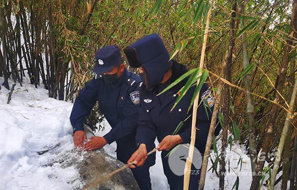 怒江人口有多少人口_云南怒江有几种鱼图片(2)