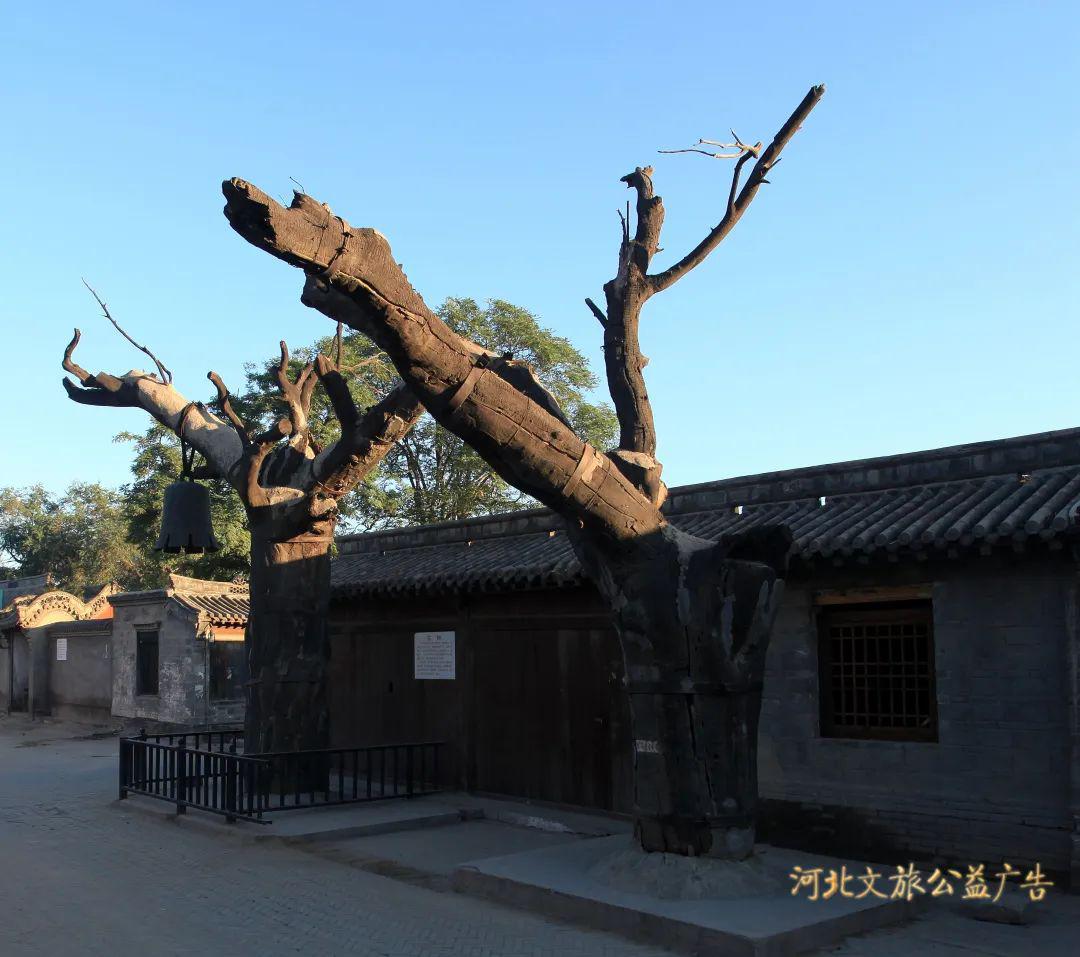 河北文旅公益广告联播 | 探访真实地道战遗址,揭秘可攻可守的地下长城