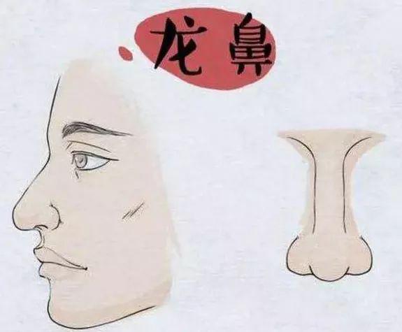 龙鼻  