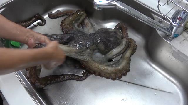里瞬间就填满了  拿回家以后用水冲洗下  接着抓起盐就往章鱼身上搓