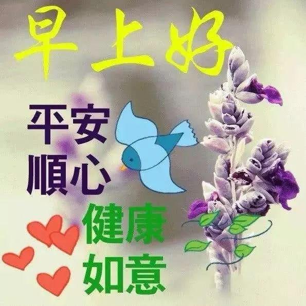 问候早上好图片带字动态表情 早上好图片问候祝福语句子