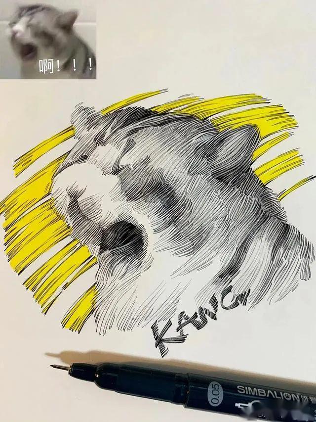 把动物的肌肉走向描画的非常明白清晰 一起来欣赏学习一下吧  那么