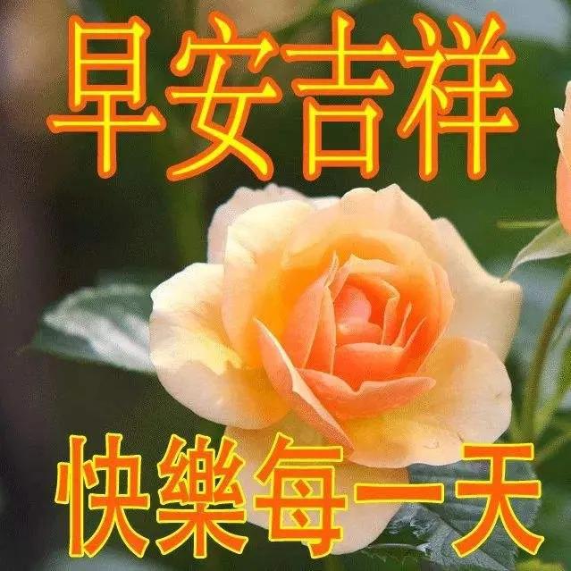 早安吉祥:精神饱满情绪高,高兴兴挣钞票,祝你一天心情