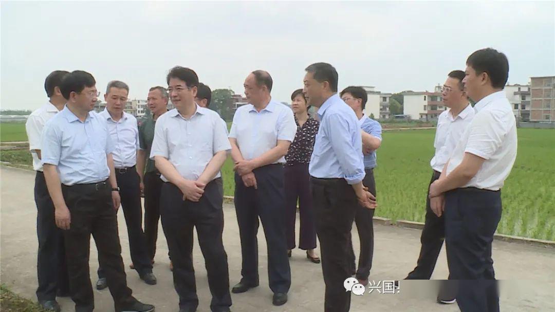 副市长张逸,县委书记赖晓军,县委副书记,县长陈黎,县委副书记赖木生