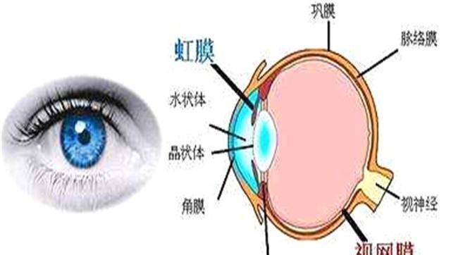 原创为什么眼睛能看见月亮,看不见几百米外的东西