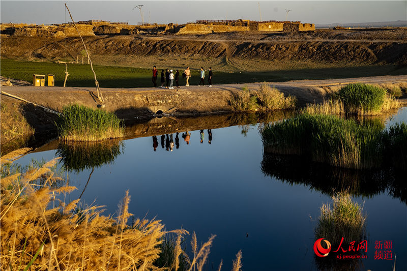 新疆英吉沙县穆孜鲁克湿地公园美景令人流连忘返组图