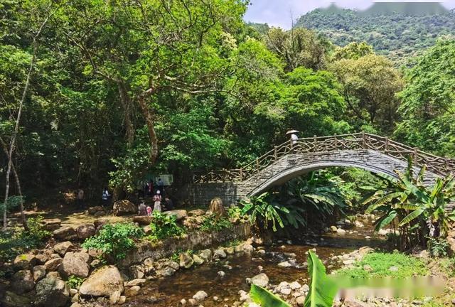 尤溪九阜山景区