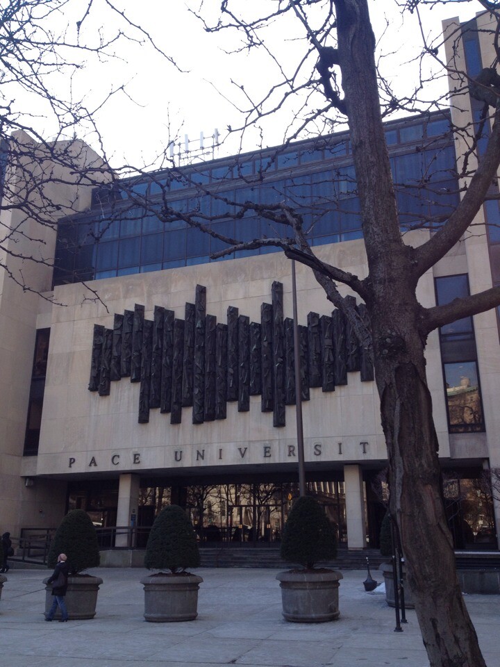 佩斯大学排名_李·佩斯(2)