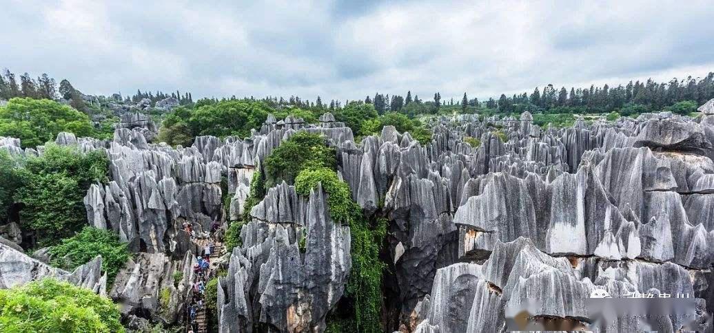 湄潭茶海,余庆飞龙湖等景点,这也将进一步促进沿线5县1区旅游业和当地