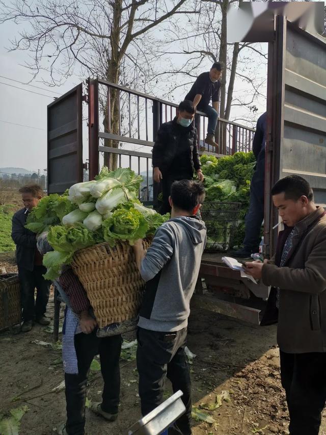 民权县老城村有多少人口_民权县花园乡吴老家村