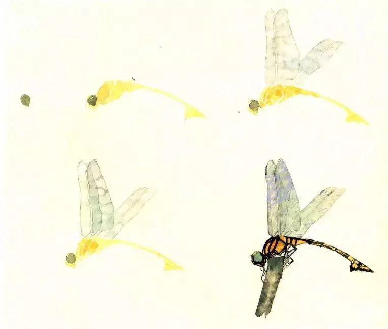 螳螂的没骨画法步骤