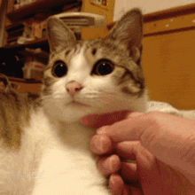 d33531f70c994bba941eda1237b882be.gif