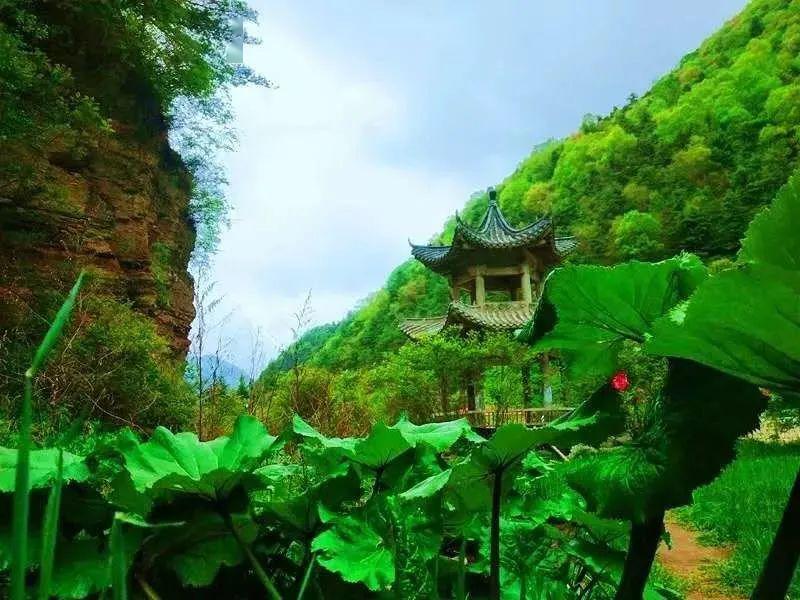 5月20日 宁夏泾源油菜花 自然风光行摄活动