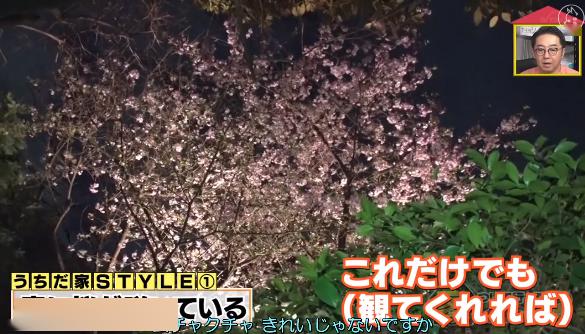 父亲：身后是一个温馨的大家庭~“日本钟南山”一家：父子俩都是感染科医生！正奋战在抗疫一线