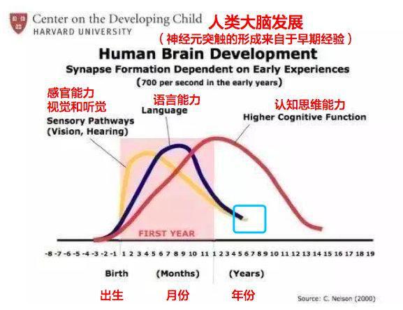 原创孩子大脑发育高峰期一生有三次,父母把握好机会,帮娃开发智力