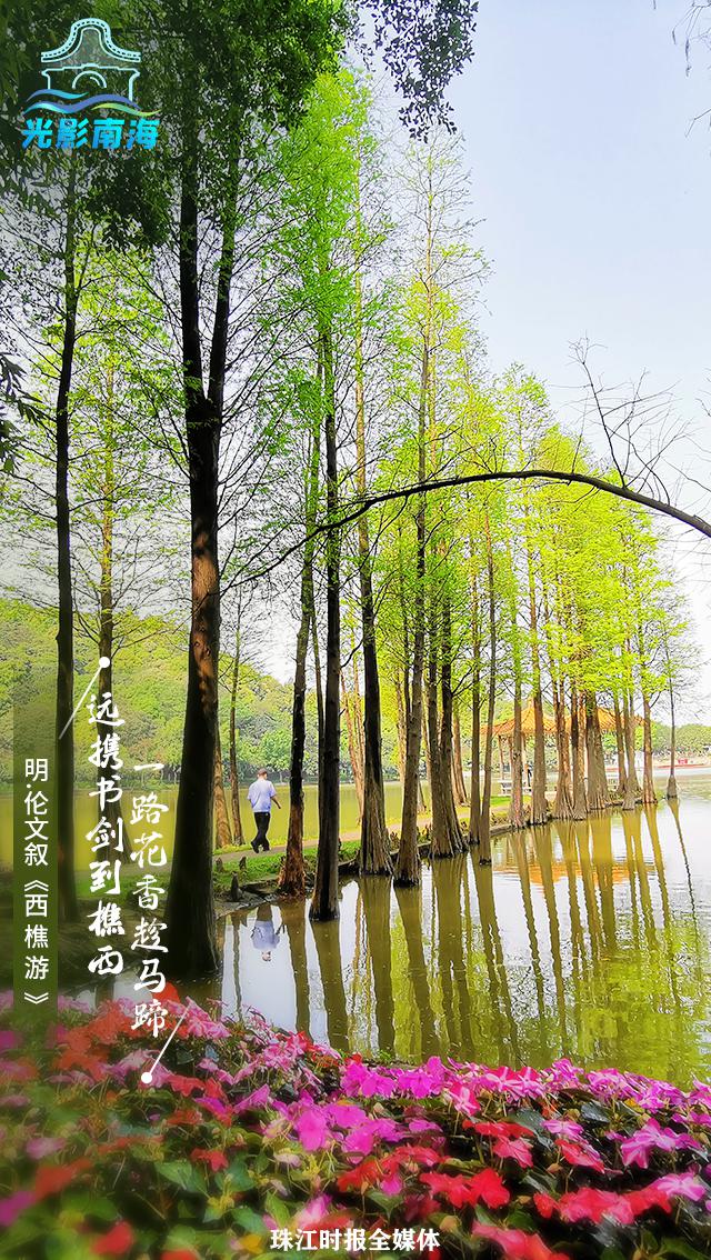 【西樵镇】一首诗 一盛景......跟着古诗游樵山，