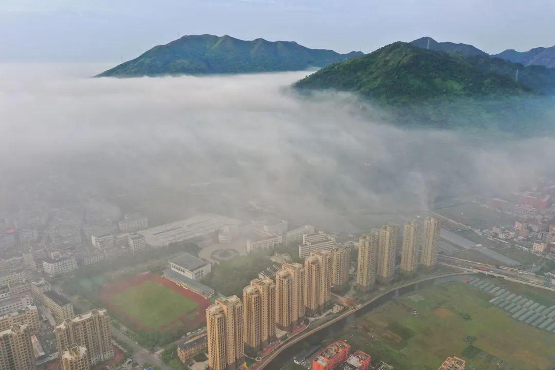 多角度航拍!最近乐清美成了人间仙境