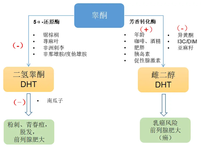 得了脂溢性脱发怎么办