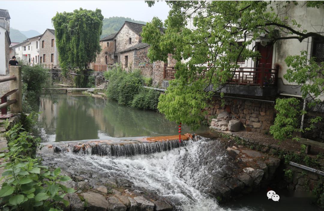 "双童"人的寻山觅水之旅:依山傍水,远离喧嚣,感受浦江