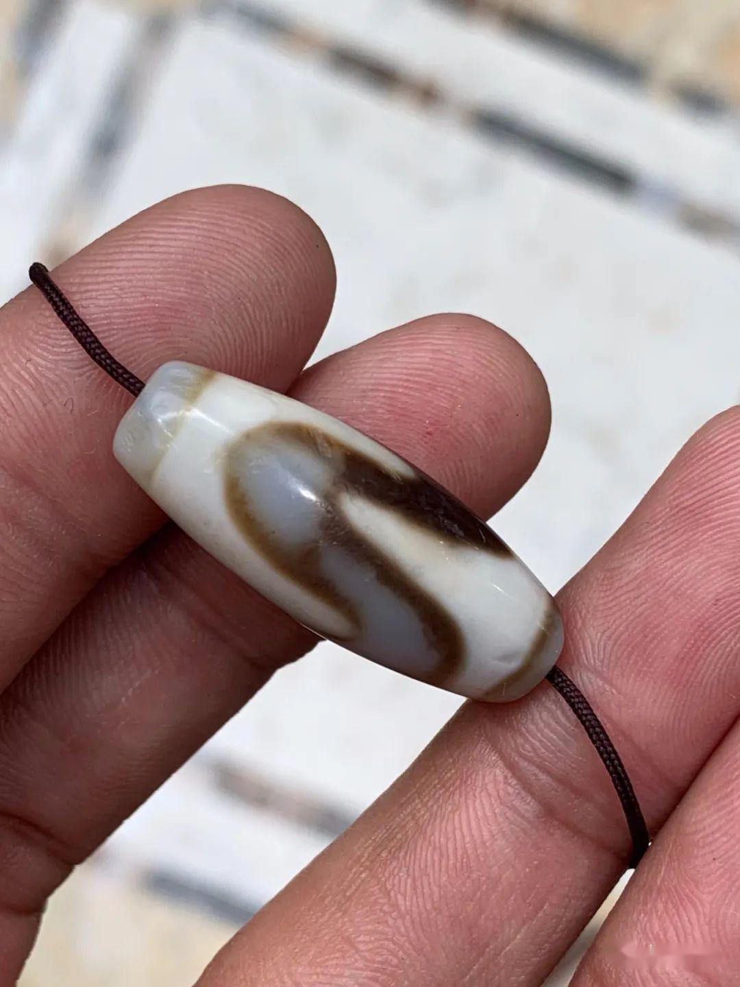 大鹏天珠：千年至纯虎牙天珠_搜狐网