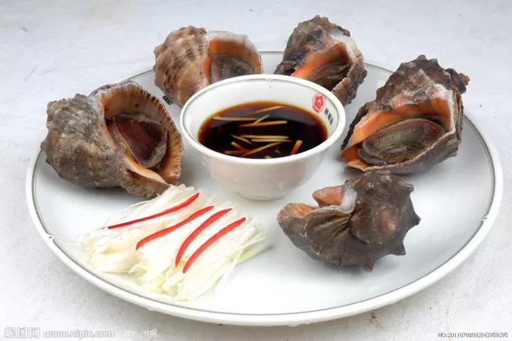 海螺排名_海螺简笔画