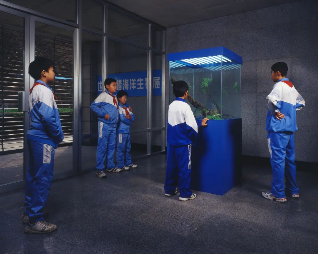 两个武汉小伙,10年专拍“伪新闻”,比现实更戳心