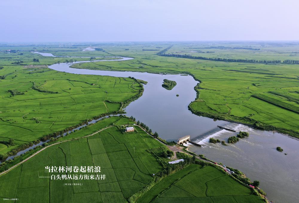 采风集∣当拉林河卷起稻浪