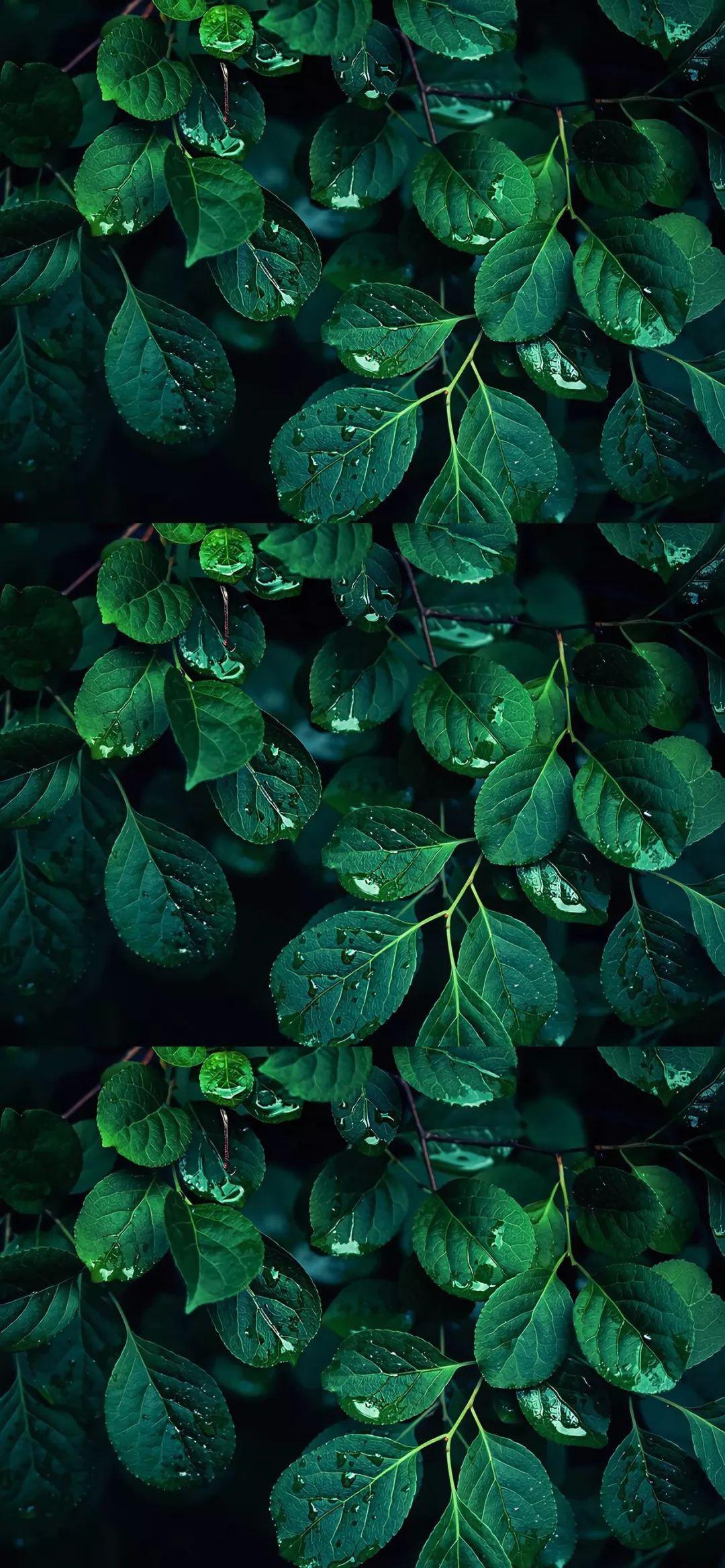 舒心|安静凉爽的风景壁纸_大人