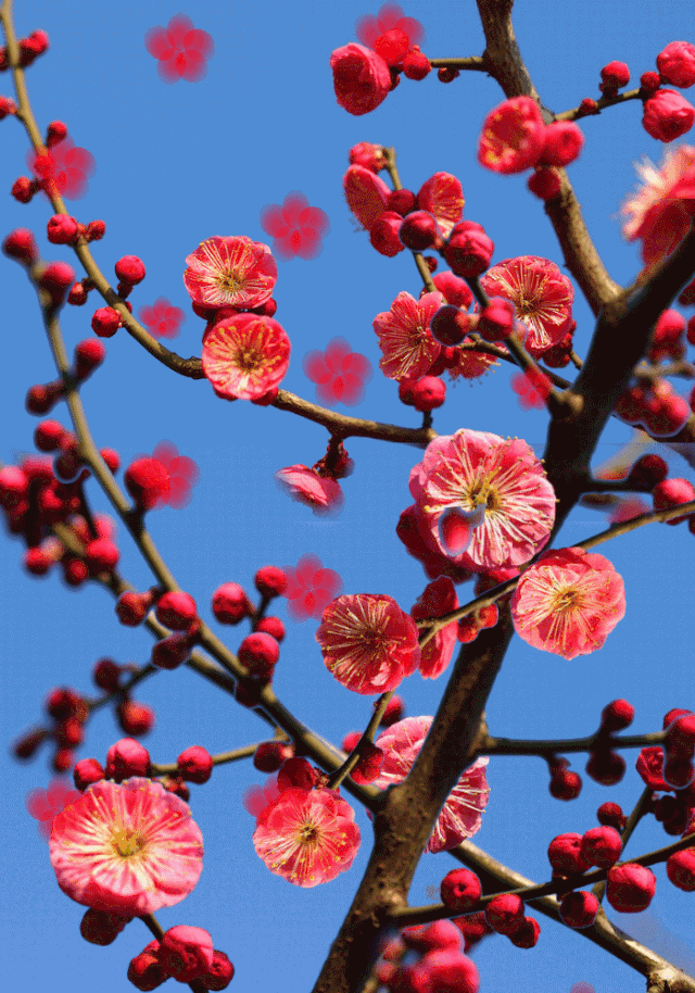 640_914 竖版 竖屏