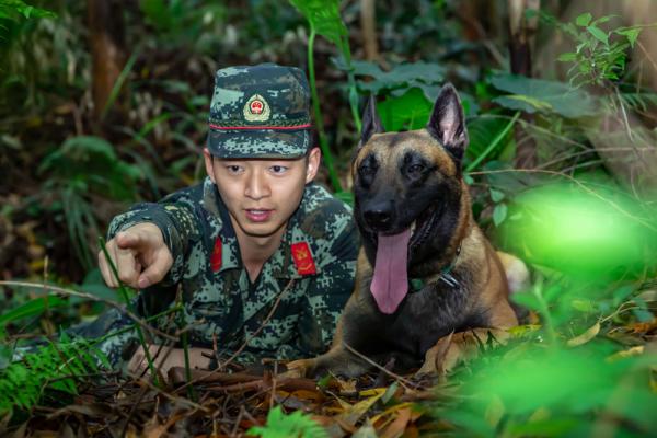 军犬训导员孔德鑫与他的战友 凯特 训练