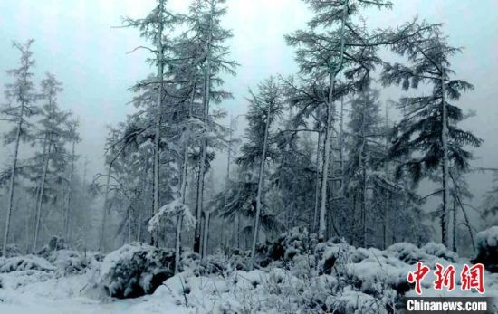 “中国最冷小镇”初夏降大雪,系三年来首次(图)