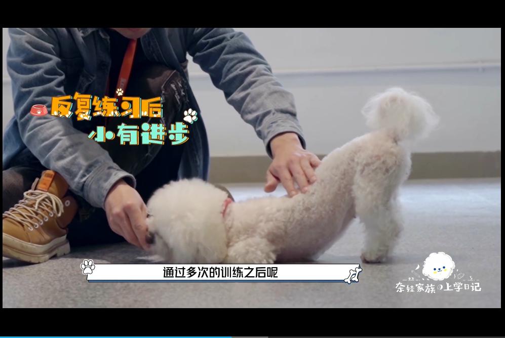 脱敏训练